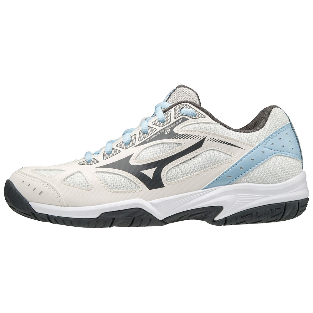 Mens Mizuno Cyclone Speed 2 Volleyball Shoes White/Grey Philippines (FVPURW372)